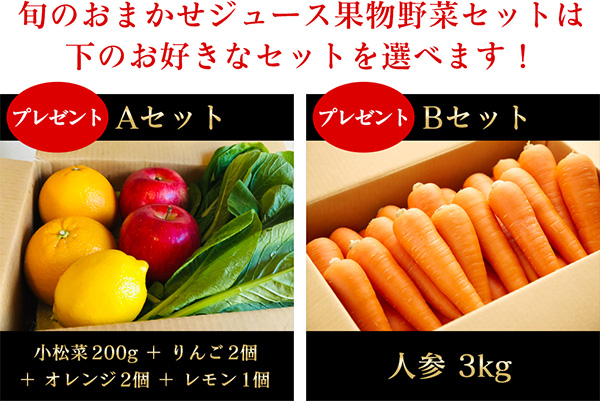 3点目 ジューサーが届いてすぐに搾れる野菜・果物セット付